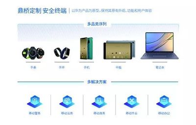 双系统优势凸显 :鼎桥定制安全终端助力政企移动化办公